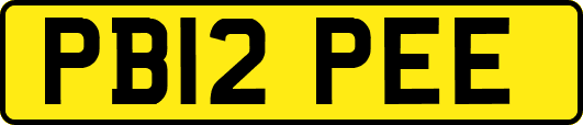 PB12PEE