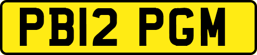 PB12PGM