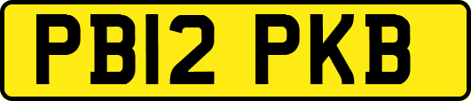 PB12PKB