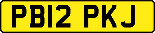 PB12PKJ