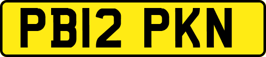 PB12PKN