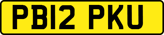 PB12PKU
