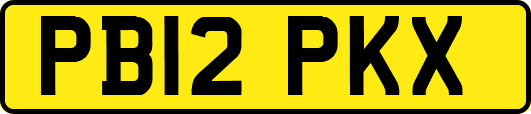 PB12PKX