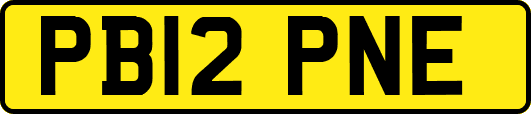 PB12PNE