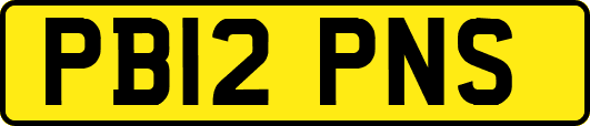 PB12PNS