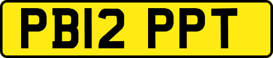 PB12PPT