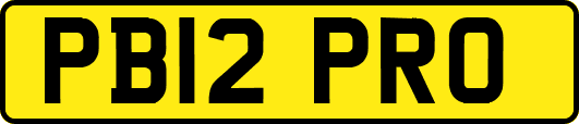 PB12PRO