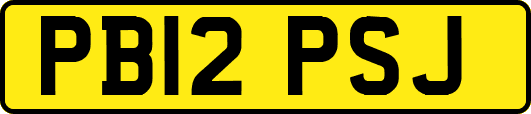 PB12PSJ
