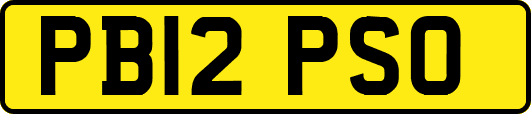 PB12PSO