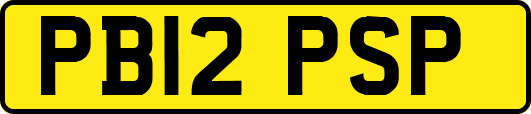 PB12PSP