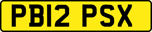 PB12PSX