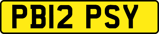 PB12PSY
