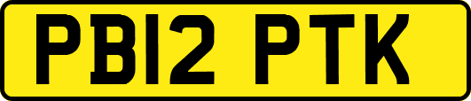 PB12PTK