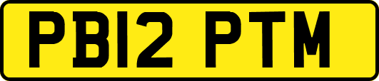 PB12PTM