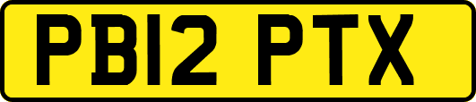 PB12PTX
