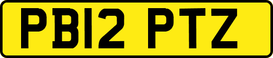 PB12PTZ