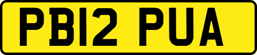 PB12PUA
