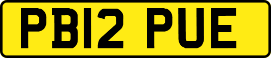 PB12PUE