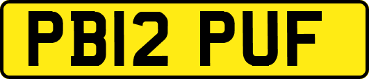 PB12PUF