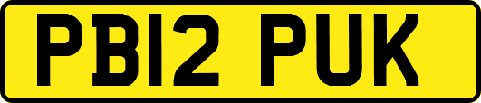 PB12PUK
