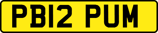 PB12PUM