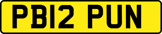 PB12PUN