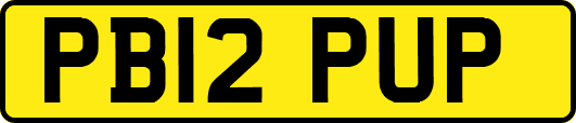 PB12PUP