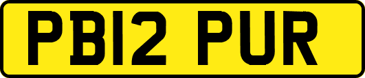 PB12PUR
