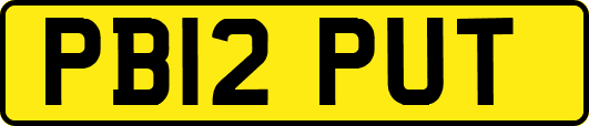PB12PUT