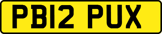 PB12PUX