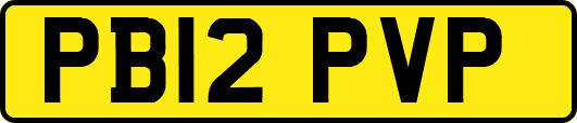 PB12PVP