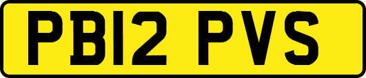 PB12PVS