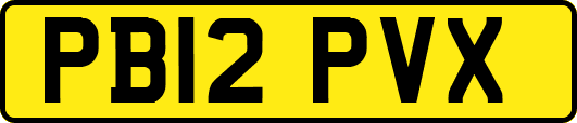 PB12PVX