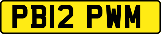 PB12PWM