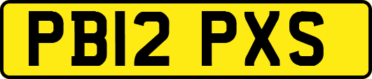 PB12PXS