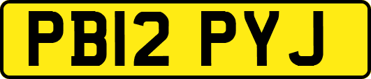 PB12PYJ