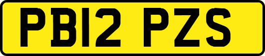 PB12PZS