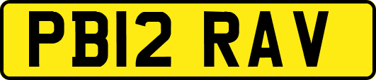 PB12RAV
