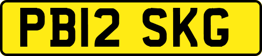 PB12SKG