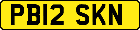 PB12SKN