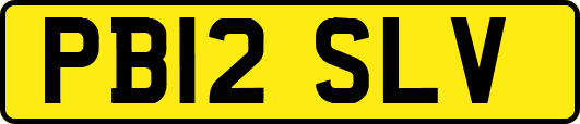 PB12SLV