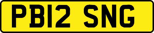 PB12SNG