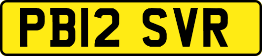 PB12SVR