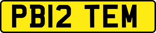 PB12TEM