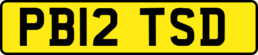 PB12TSD