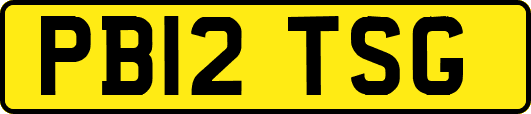 PB12TSG