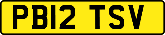 PB12TSV