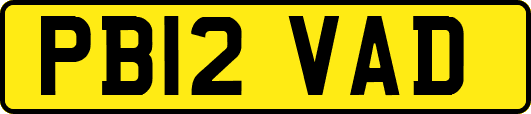 PB12VAD