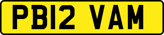 PB12VAM