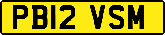 PB12VSM